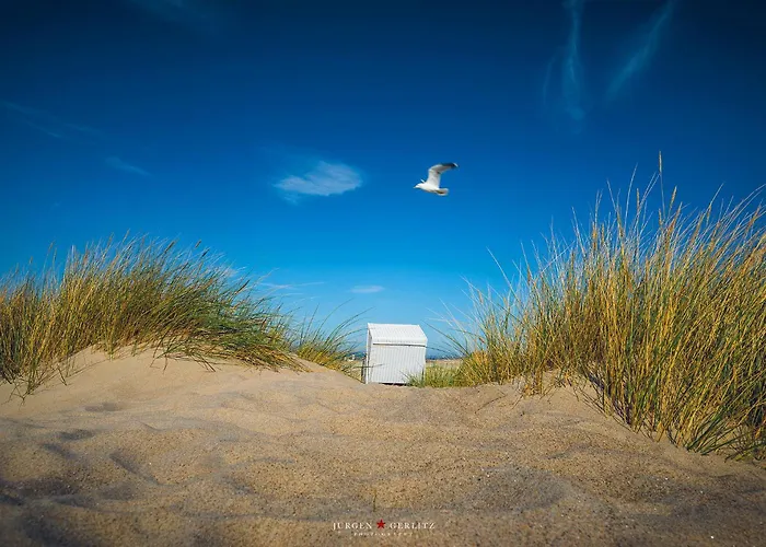 Moewenkoje Дом отдыха