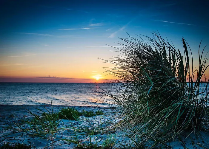 Moewenkoje Дом отдыха *